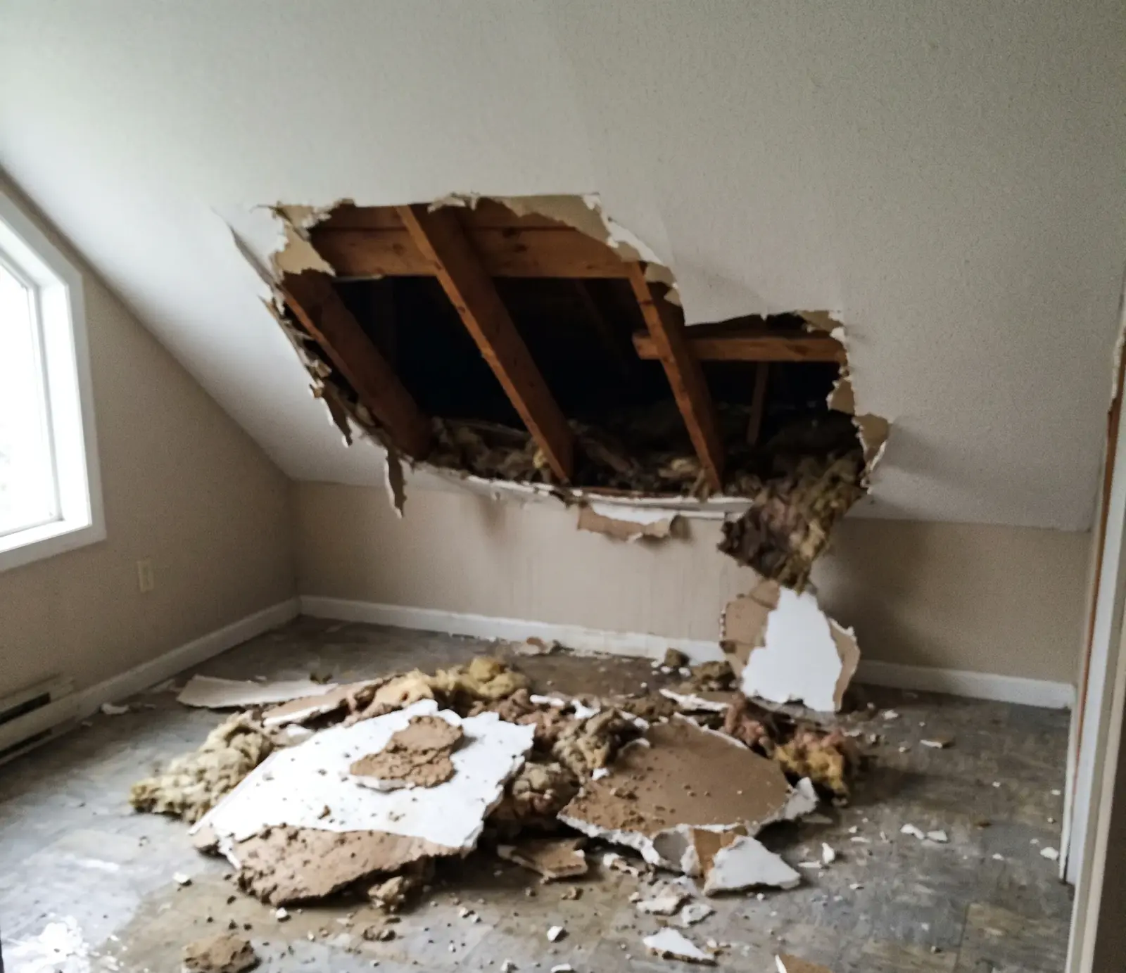 Roof Leak Water Extraction water extraction service in Carmel, IN